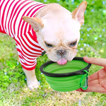 Collapsible Pet Travel Bowl for Dogs & Cats – Portable TPR Bowl