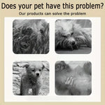 Pet Shampoo for Dogs & Cats – Odor Control, Soft & Fresh Coat