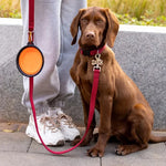 Collapsible Pet Travel Bowl for Dogs & Cats – Portable TPR Bowl
