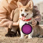 Collapsible Pet Travel Bowl for Dogs & Cats – Portable TPR Bowl