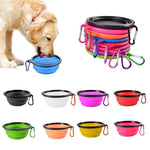 Portable collapsible pet travel bowl for dogs and cats for food and water